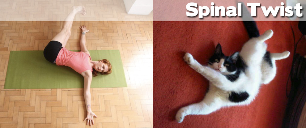 animal-yoga-positions-13