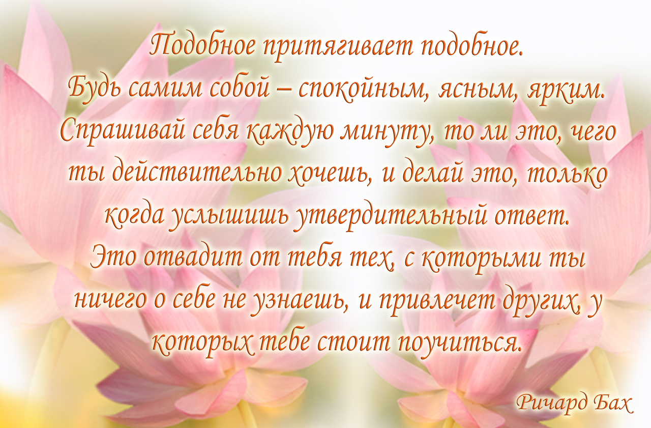 Картинки подобное притягивает подобное